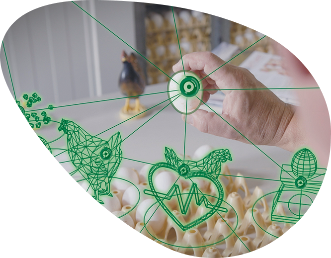 Hand houdt ei met technische iconen in zicht.