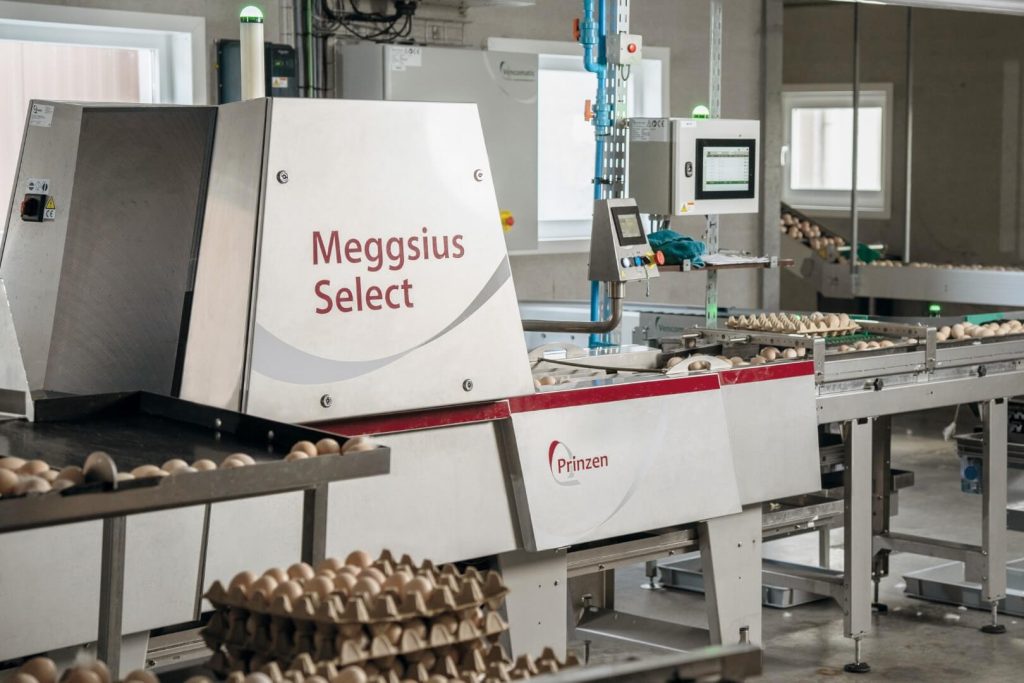 Eierselectie machine Meggsius Select in fabriek